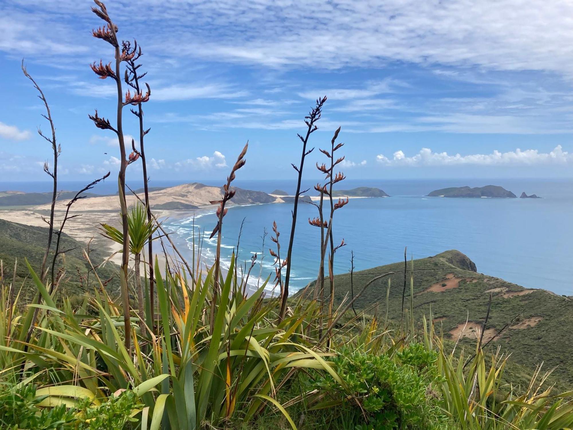 Far North Panorama Villa Kaingaroa ภายนอก รูปภาพ